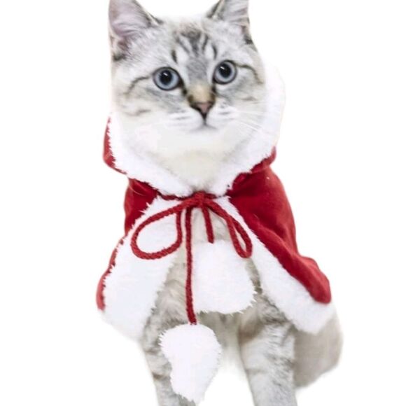 Pet Santa Cape  - Picture 5 of 7